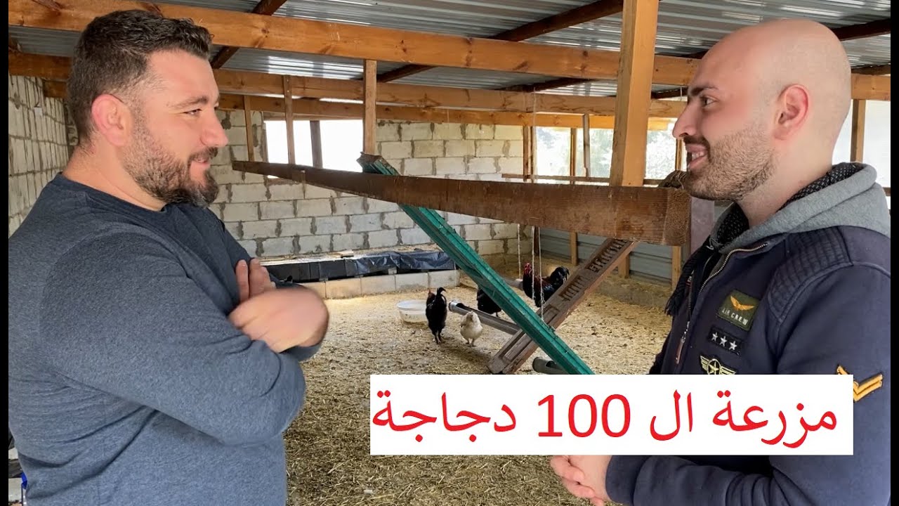 جولة في أحد مزارع الدجاج البياض لدى أحد المتابعين في لبنان