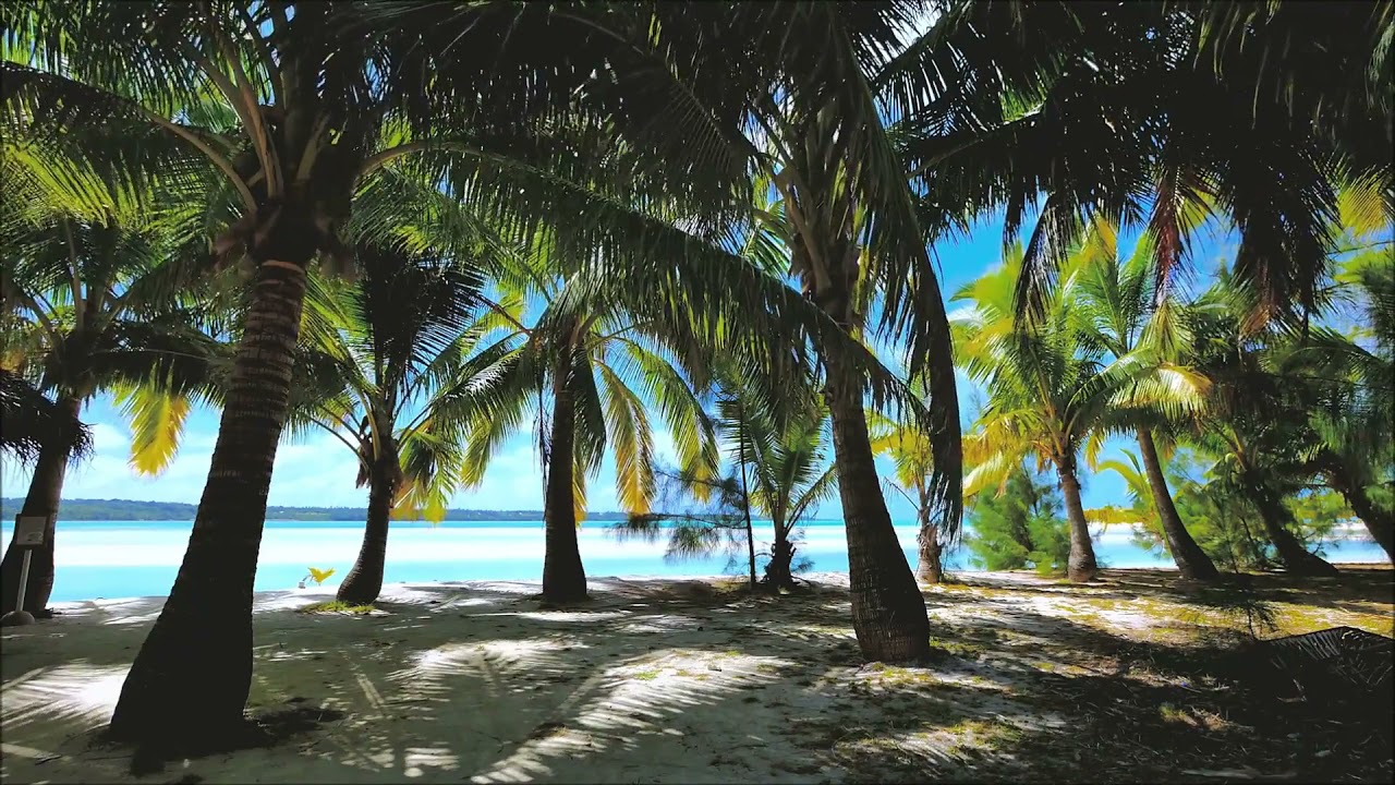 Caribbean Style Steel Drum Music to Relax and Chill - Steel Pan Pop Mix - Tropical Paradise Scenery