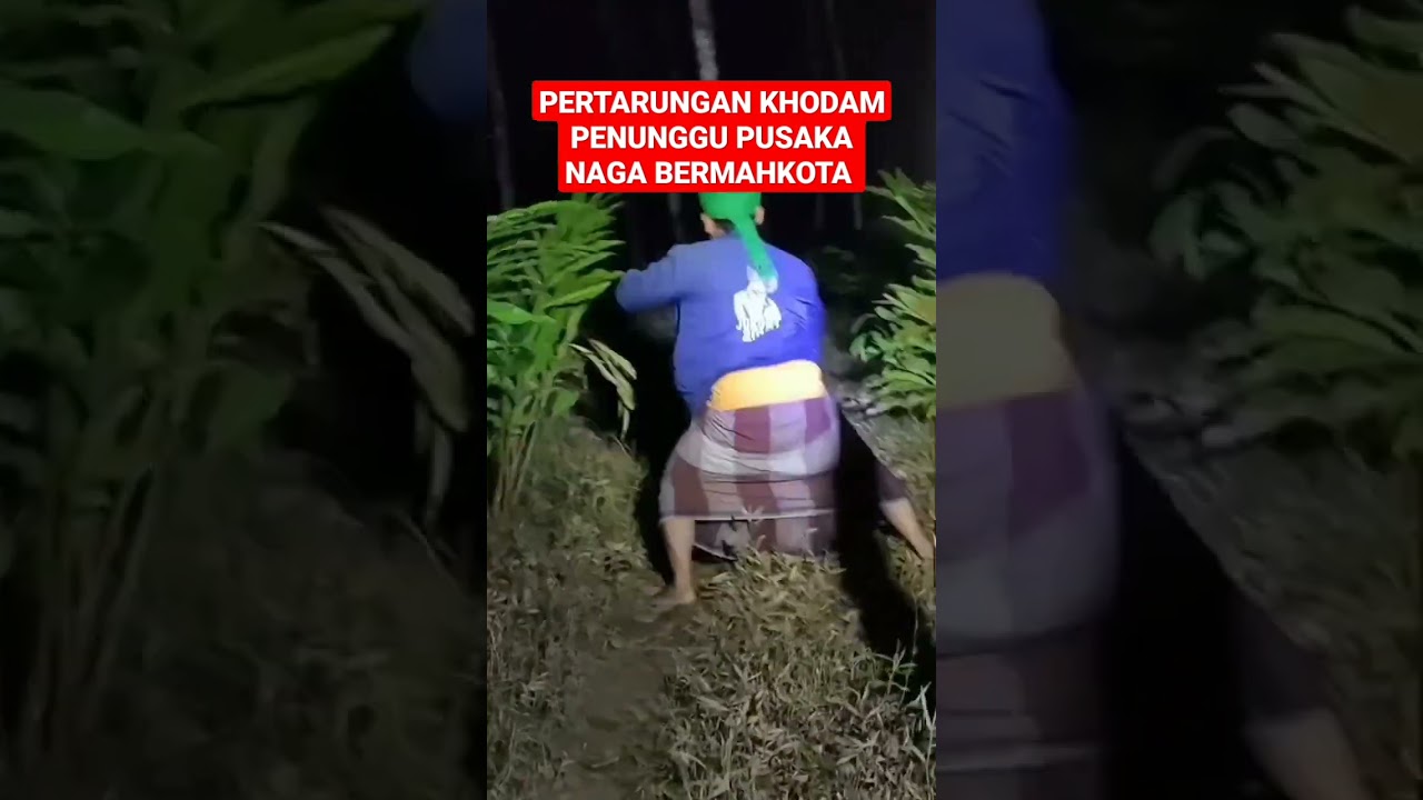 PERTARUNGAN KHODAM PENUNGGU PUSAKA NAGA BERMAHKOTA‼️#keris #bertuah #berkhodam #shorts #viral