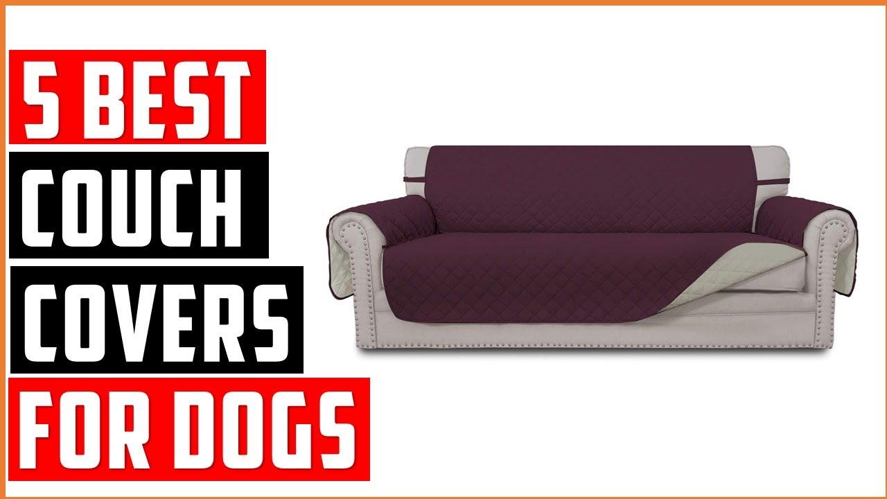 Best Couch Covers for Dogs in 2025: 5 Stylish Couch Covers for Pets&mdash;and Their Owners