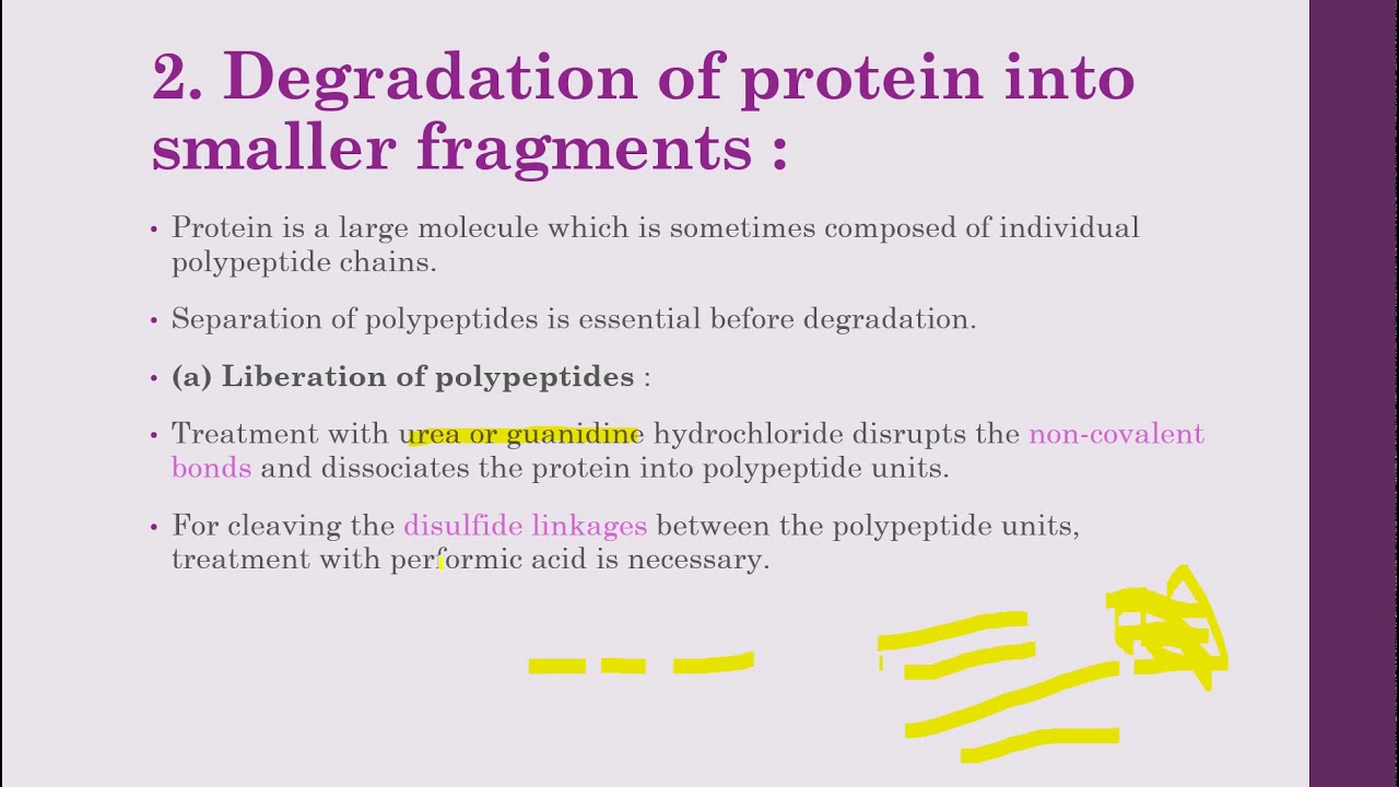 Determination of primary structure of proteins