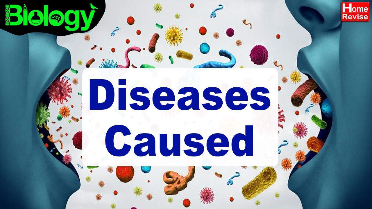 Diseases Caused by Bacteria, Fungus, Protozoa, Worms | Diseases Control | Part II | Home Revise
