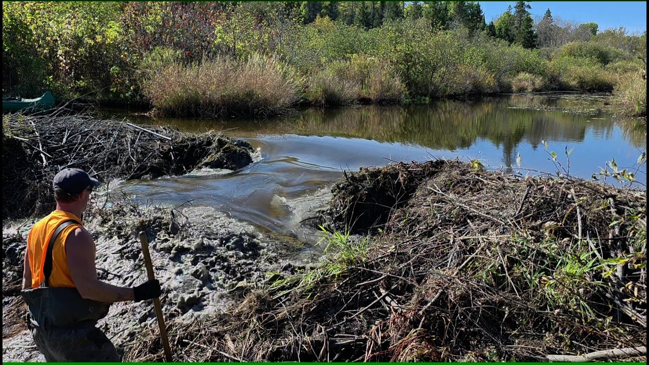 Big Beaver Dam Fail