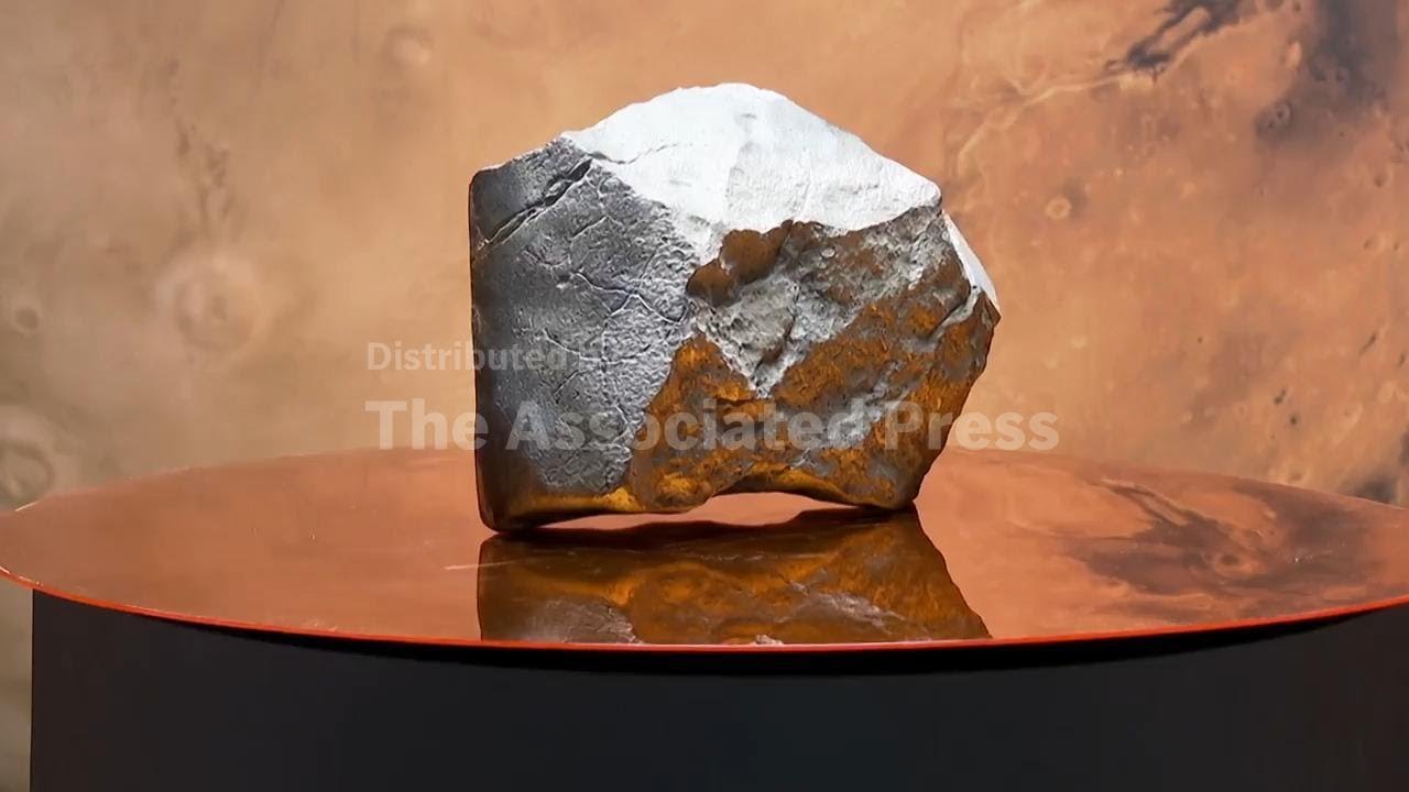 Biggest piece of Mars on Earth, juvenile dinosaur skeleton up for auction at Sotheby's