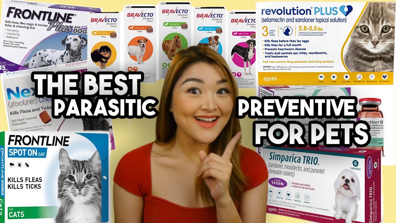 GAMOT PAMATAY GARAPATA, PULGAS, KUTO & WORMS || PARASITIC PREVENTION for PETS | Arah Virtucio