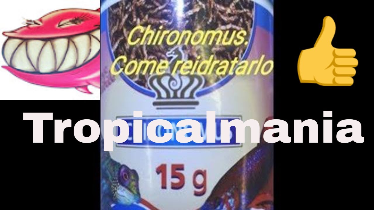 Chironomus liofilizzato shg Come reidratarlo