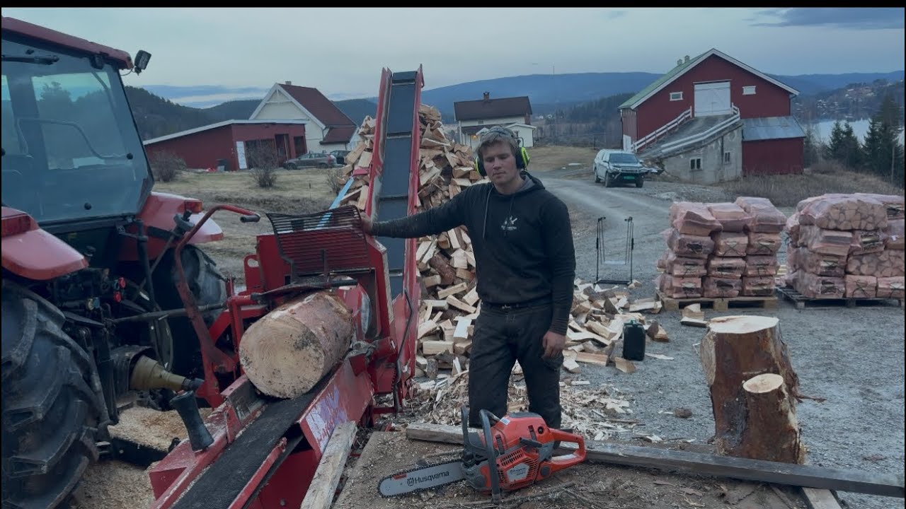 Making firewood for the next winter
