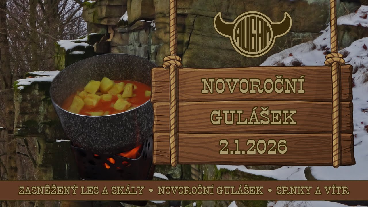 NOVOROČNÍ GULÁŠEK (2.1.2026) • větrný zimní les • zvěřinový guláš • skály a srnky •