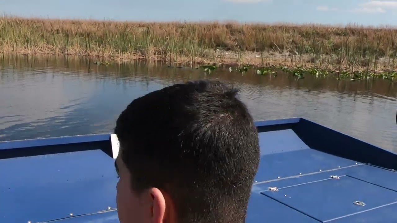Sawgrass Park airboat tour