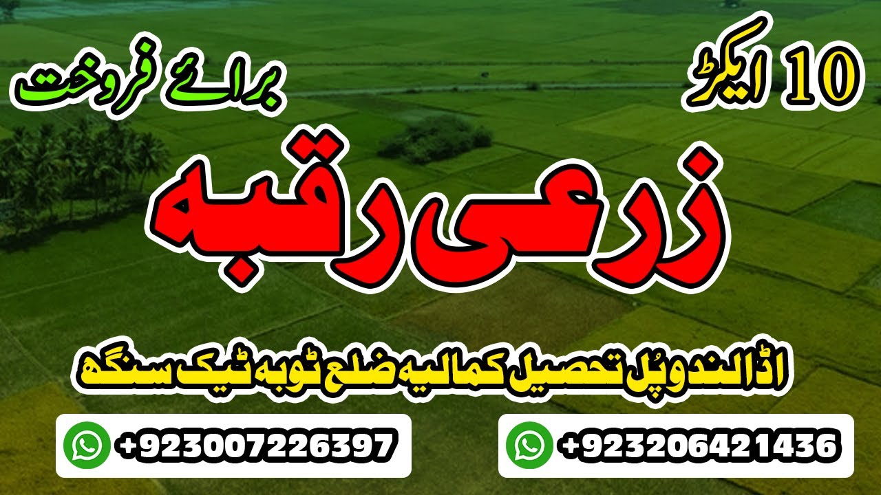 10 Acre Agricultural Land for Sale in Toba Tek Singh | Adda Lundo Pul | Toba Property