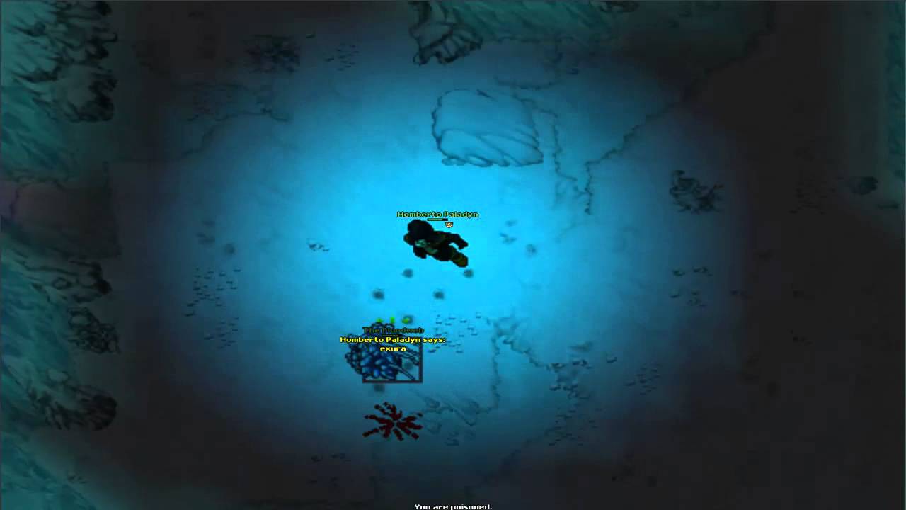Homberto Paladyn - Bloodweb boss - Tibia