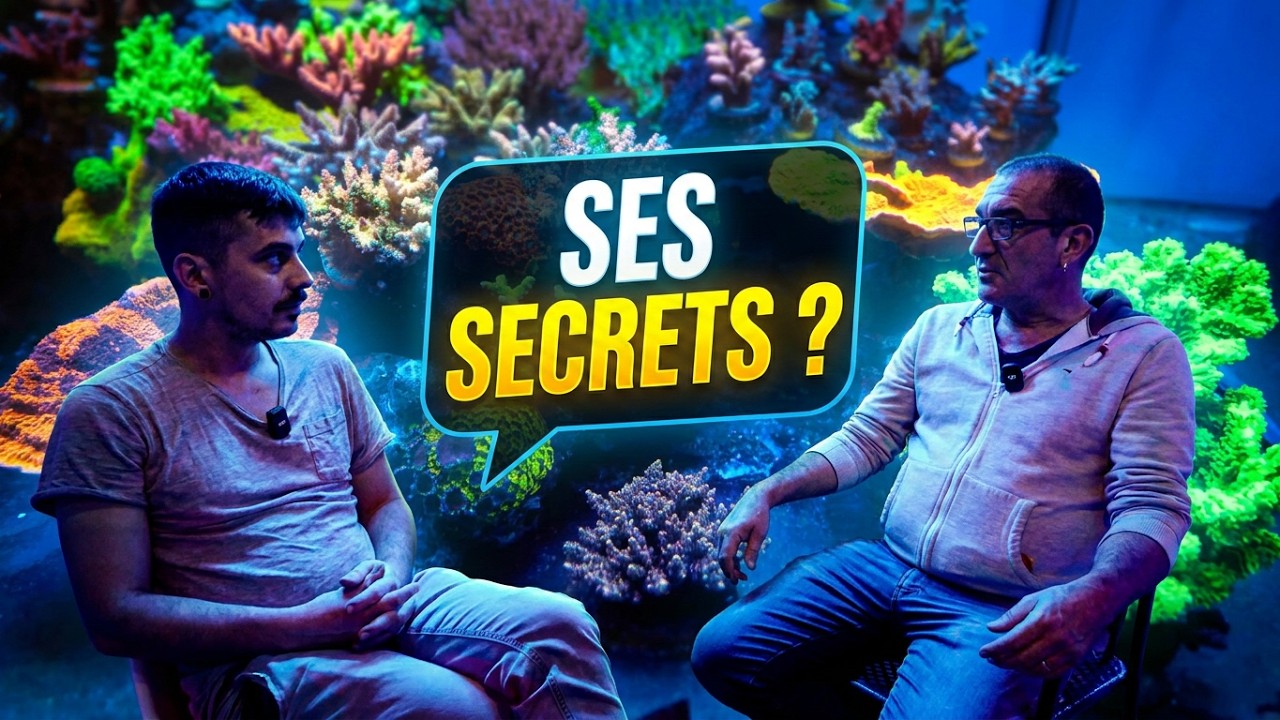 Go fast coral, halte chez marinehome