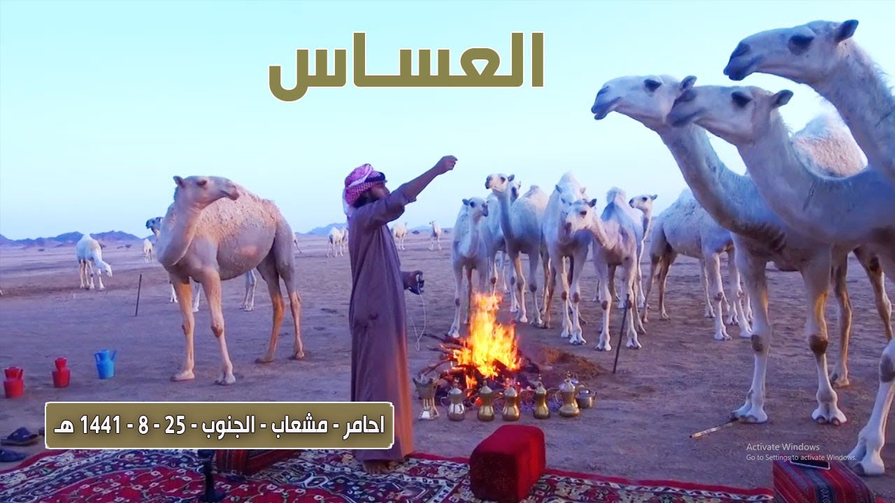 برنامج العساس | احامر - مشعاب - الجنوب 25-8-1441هـ