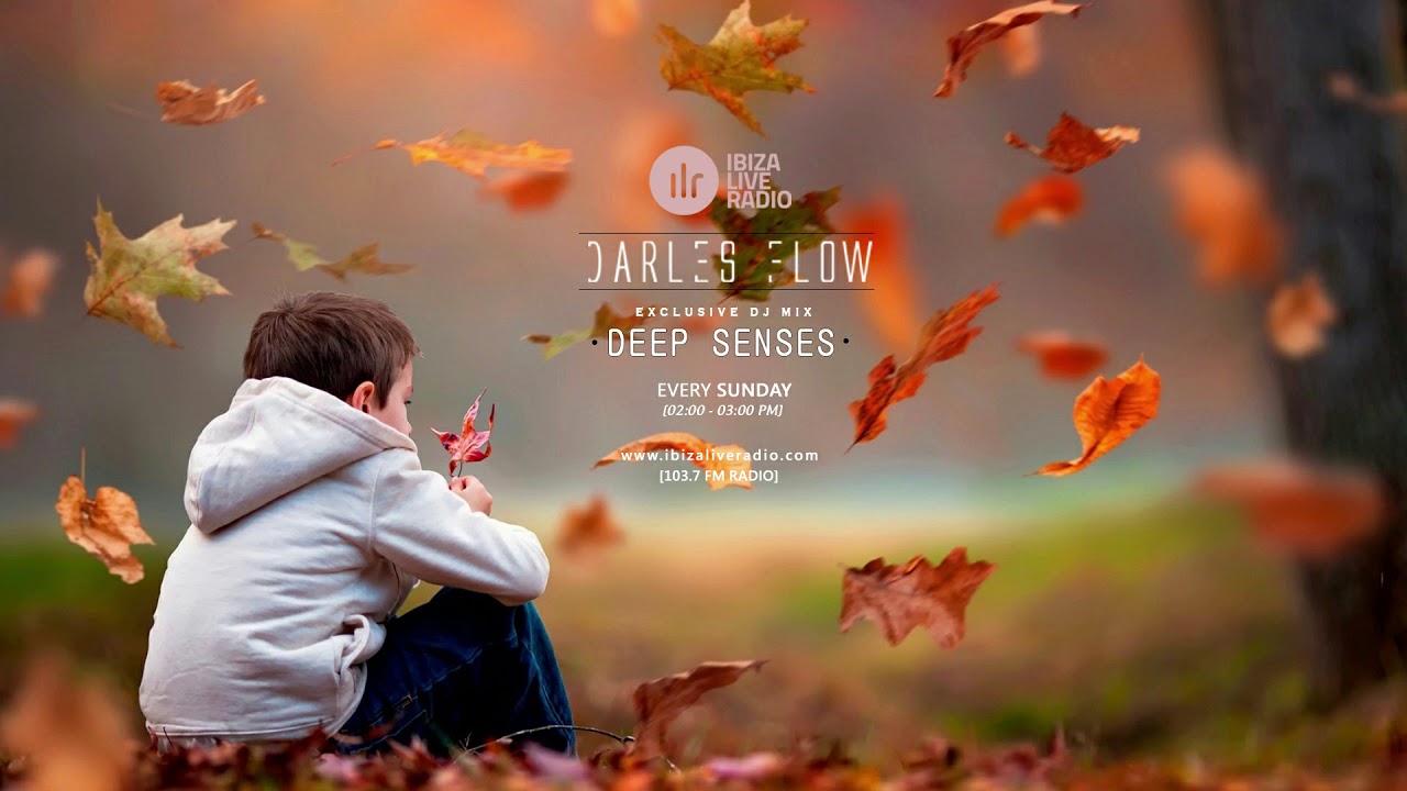 Darles Flow (Deep Senses) - Deep House Radio Dj Mix 2019