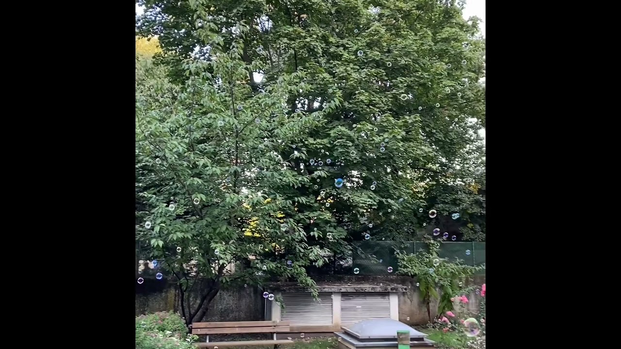 Machine a Bulles BM Dual FX AFX