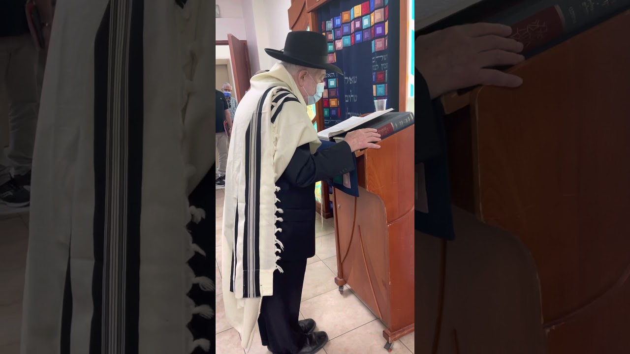 Rav Hershel Schachter Davens Mincha for the Amud
