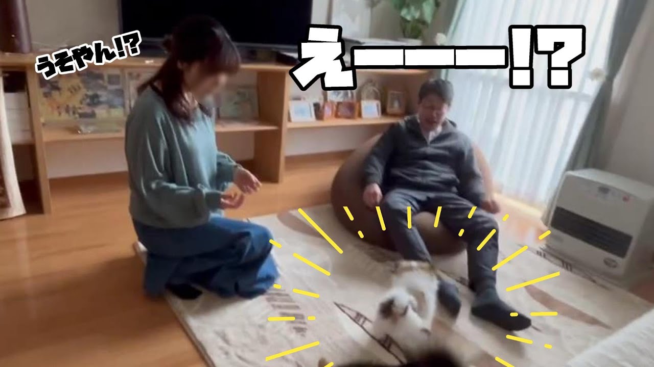 犬好き夫婦の家に、突然子犬が現れるサプライズ！！