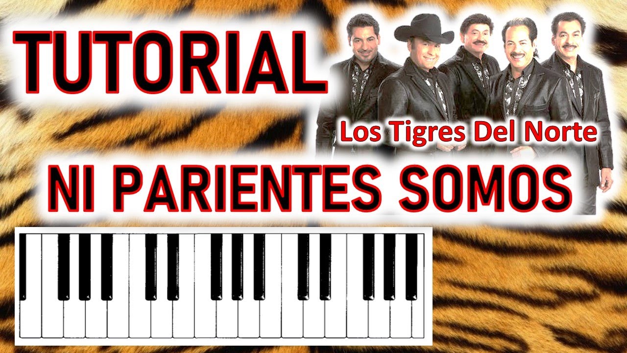 Ni Parientes Somos - TUTORIAL TECLADO - Los Tigres Del Norte