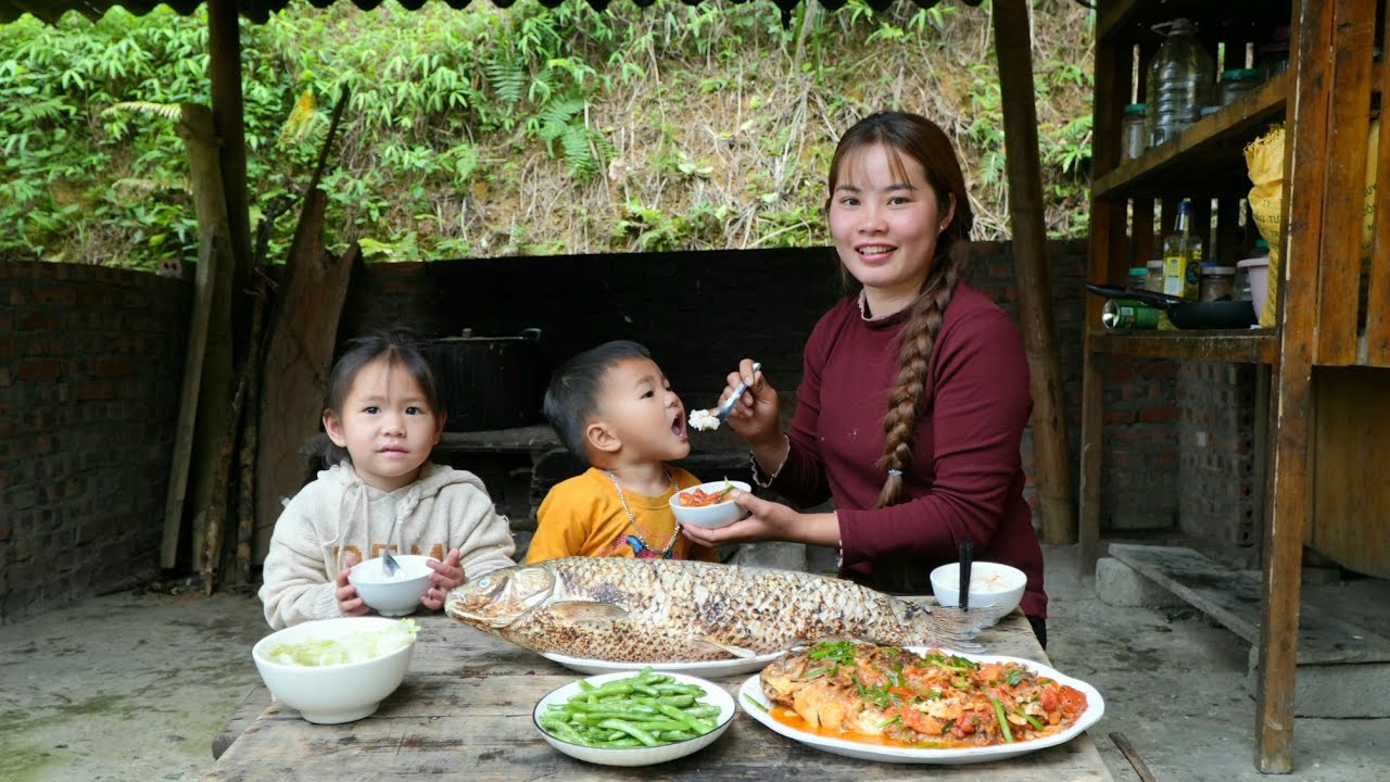 How to harvest chayote and cabbage for sale - cooking giant fish for the kids to eat