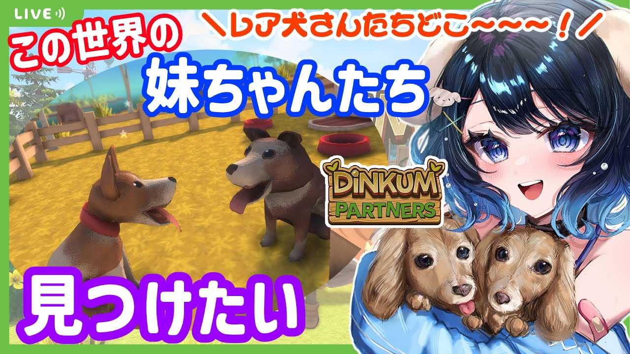 【#Dinkum（#ディンカム）】レア犬探し！たった2匹を求めて🐶🐶まったり落ち着きボイスのコメント読み・雑談中心スローライフ配信【#初見プレイ 】【#Vtuber】