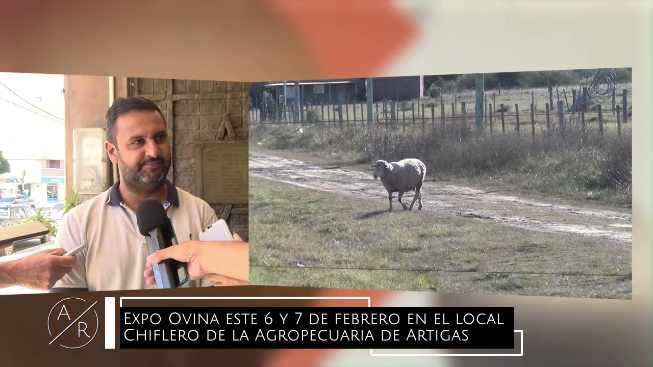 Agroregión - 22/01/2026 - Dardo Cuña