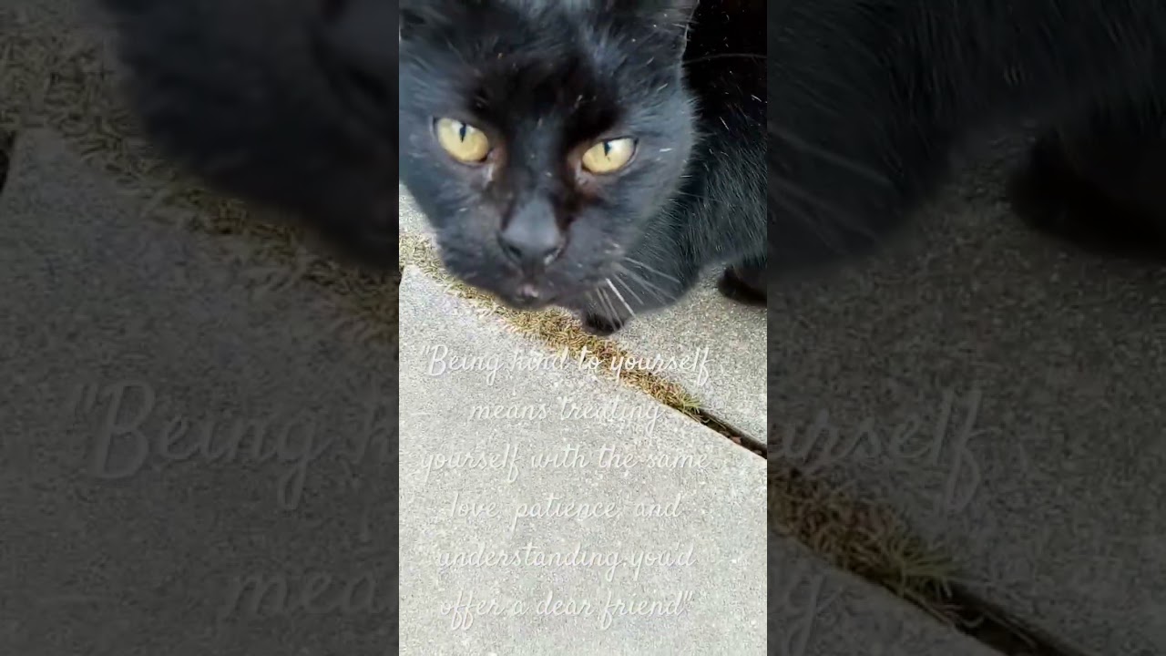 January 20 2026  Suffering from chronic pain be kind to yourself  hope you feel better soon 