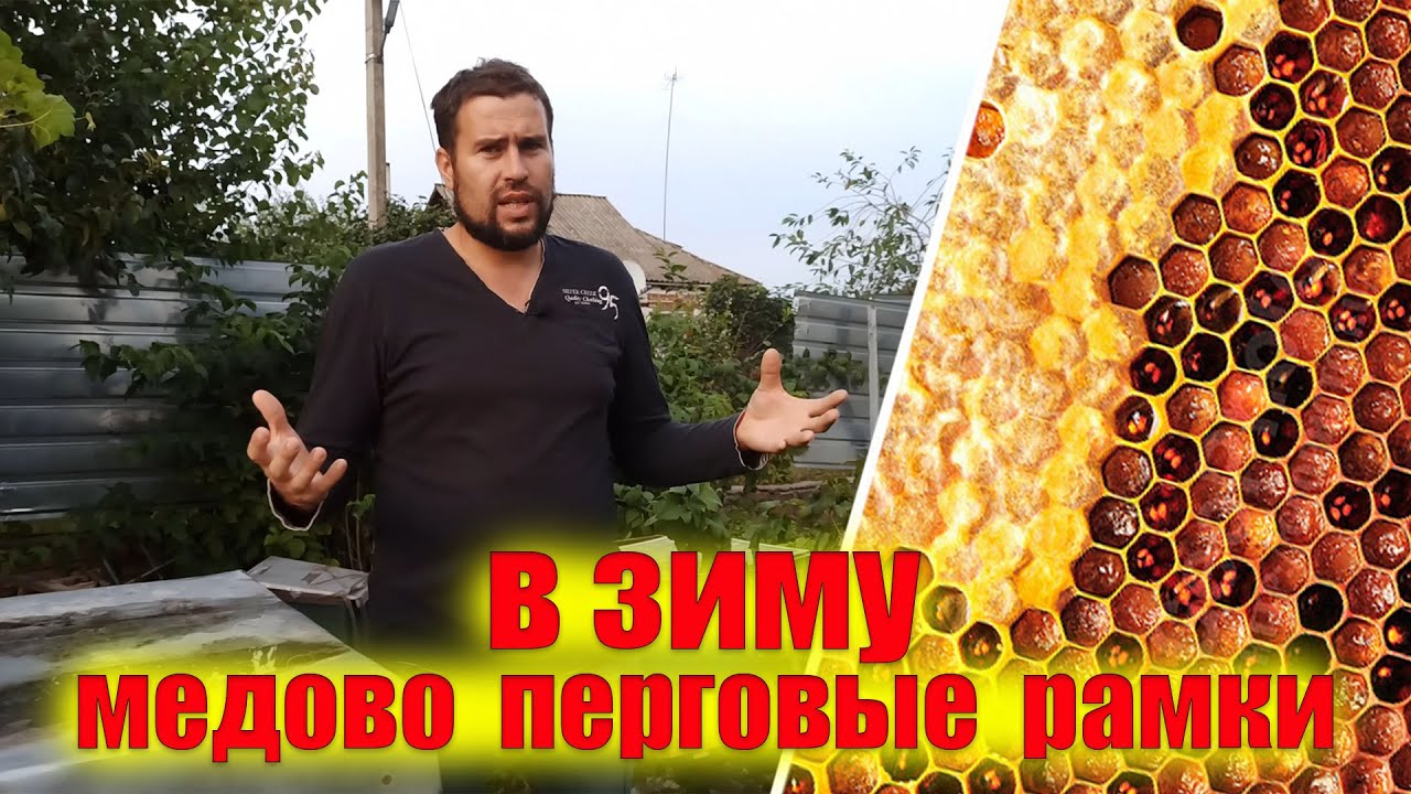 Оставлять или нет медово перговые рамки в зиму пчелам. Перговые рамки  пчелам в зиму