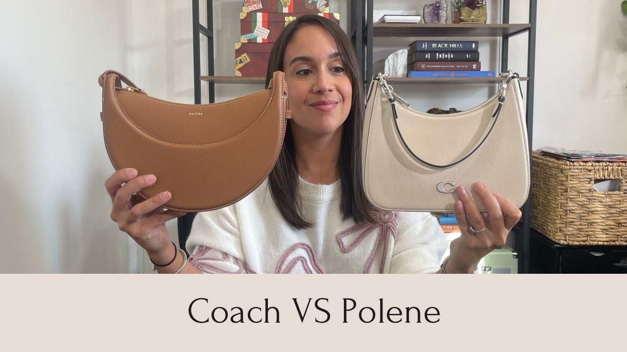 Coach Crossgrain Hobo против Polene Dix — что лучше? Что подходит, качество, цена, модшоты и мног...