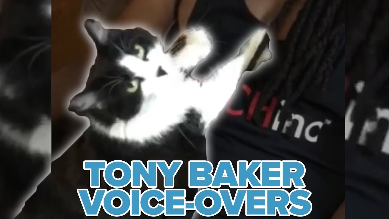 Feed the Cat! (Official Tony Baker Voice Over Compilation)