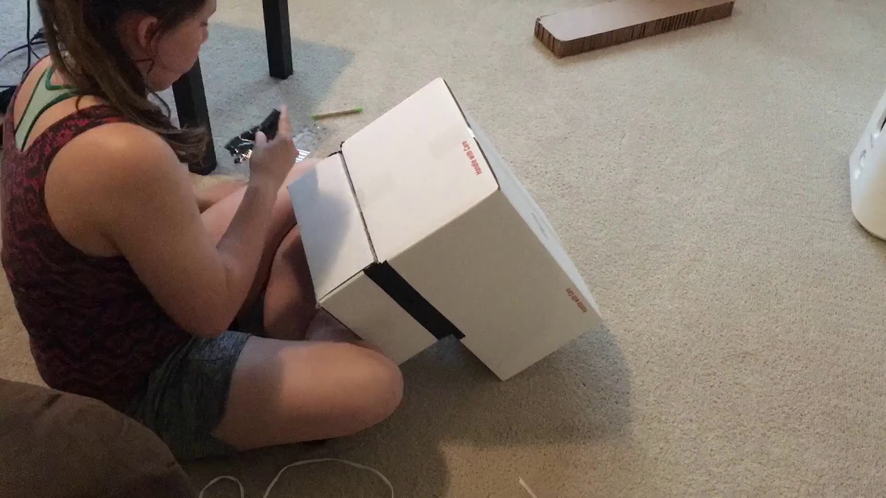 DIY Dog Stairs