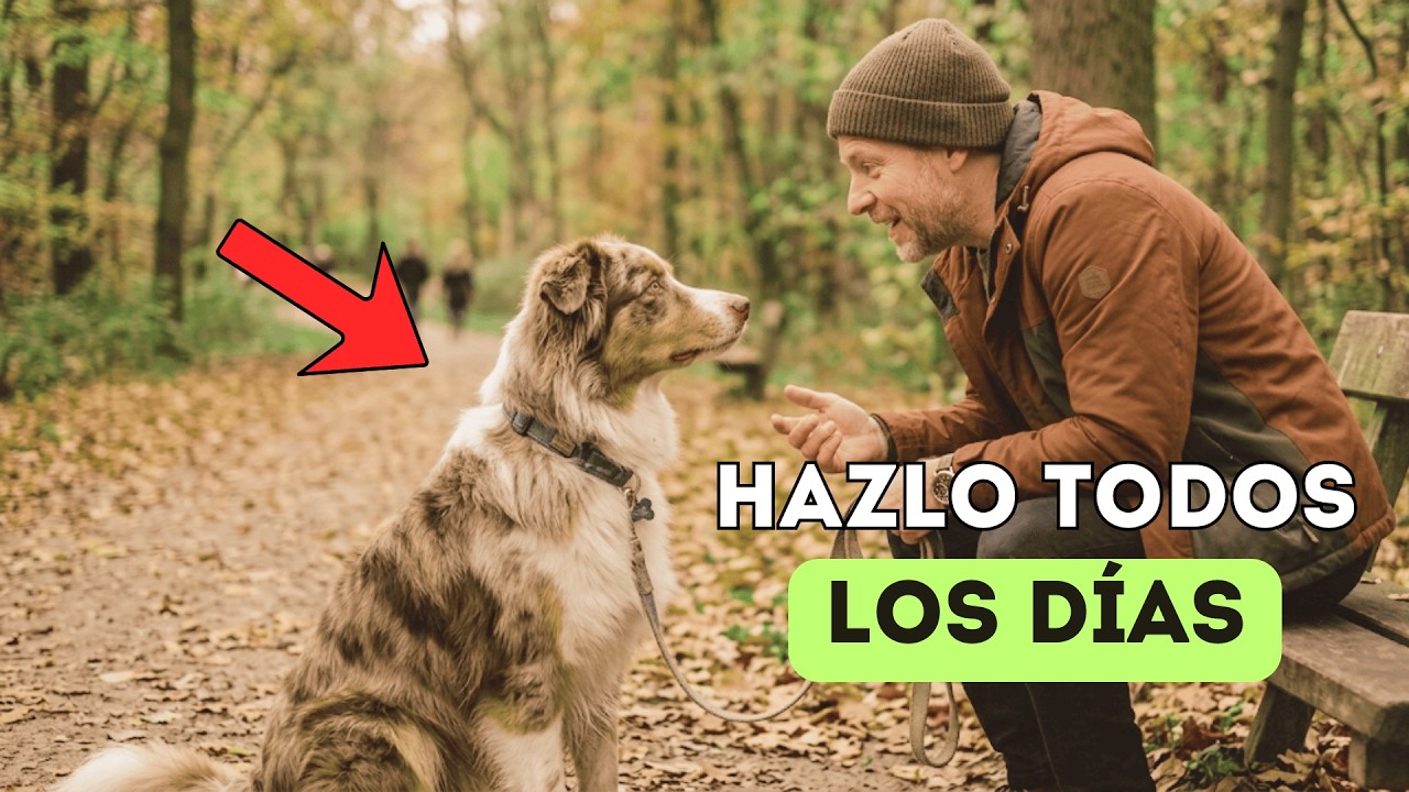 ¿Eres su MADRE o solo su dueño? 14 Señales de que tu perro te considera su PADRE 😱💖🐾
