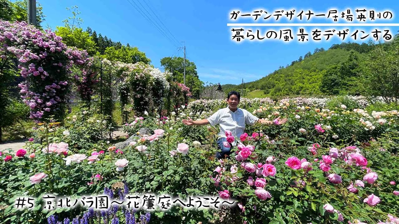 【暮らしの風景をデザインする #5】～京都の山里にある香りの空間「京北バラ園」～【ガーデンデザイナー居場英則】