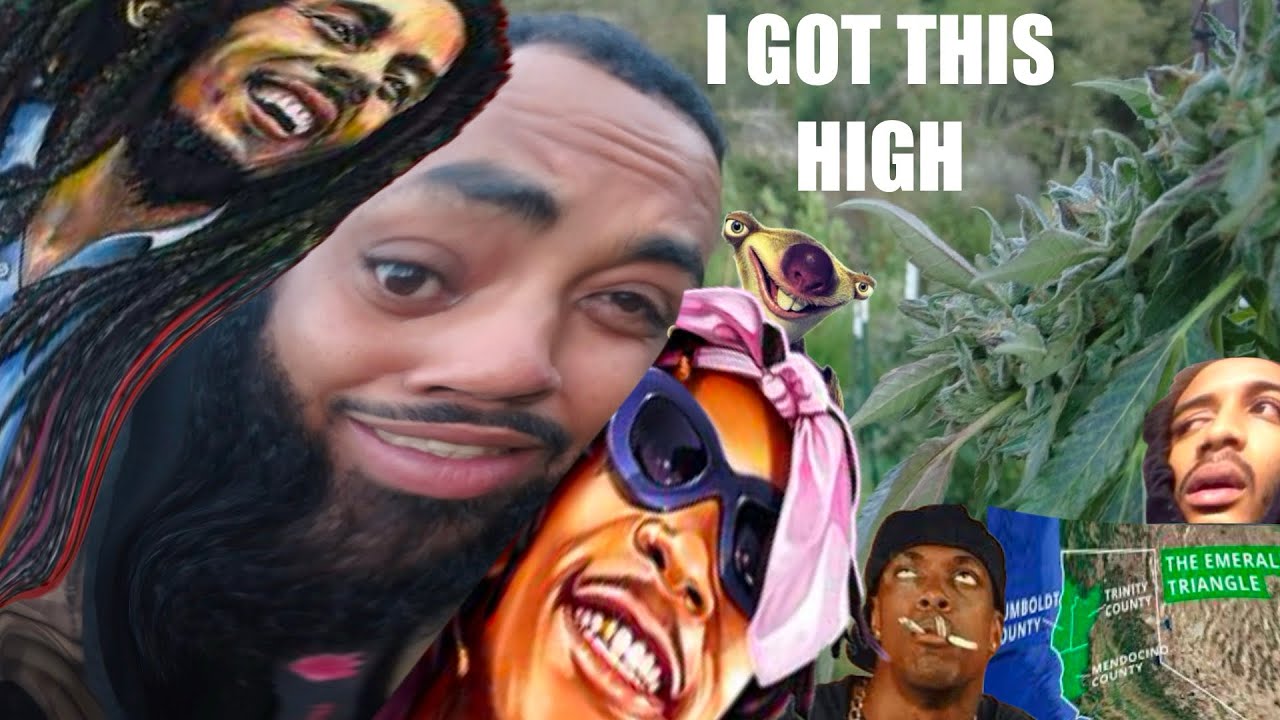 I&rsquo;m Literally in Kush Mountains: Early Morning Wake & Bake | JK Distro Fest, I&rsquo;m Finally Here! 