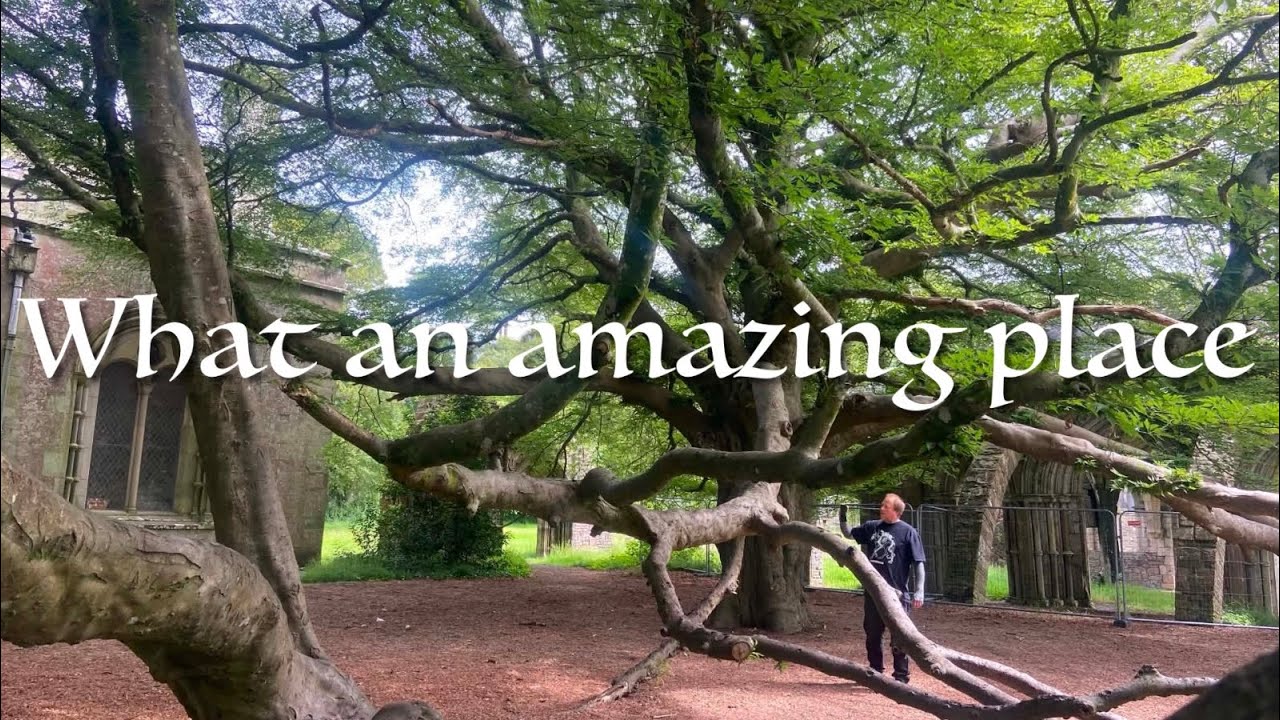 Inside the 800-year-old Church, Hidden in a Welsh Abbey Ruins!