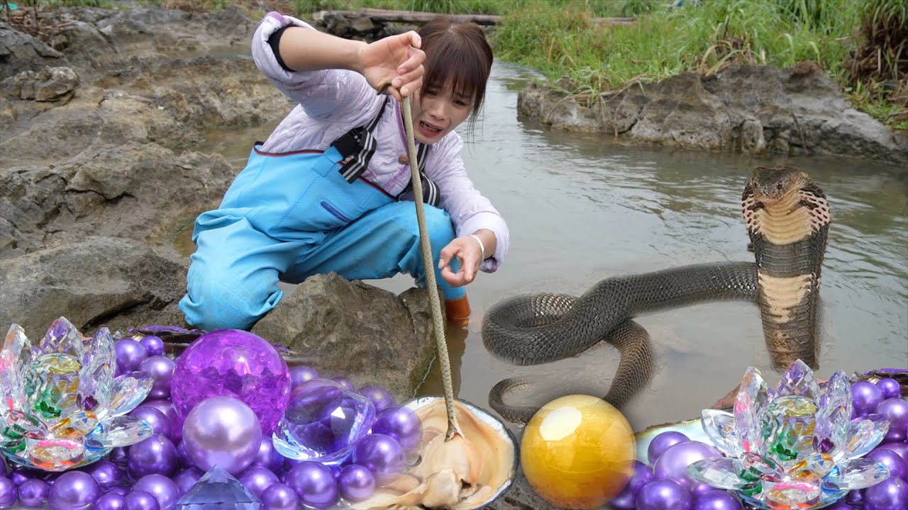 😱😱The giant snake actually crawled into the oyster to grab the pearl, and the girl easily subdued it