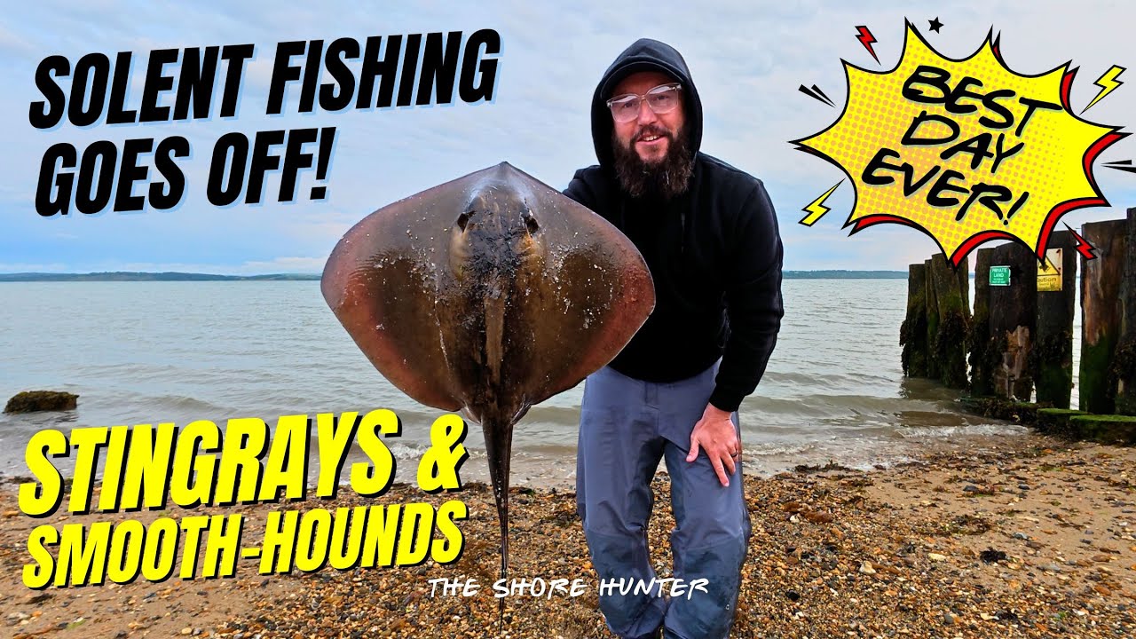 How To Catch Stingrays & Smooth Hounds | Fishing The Solent With Wayne 🎣 Sea Angling