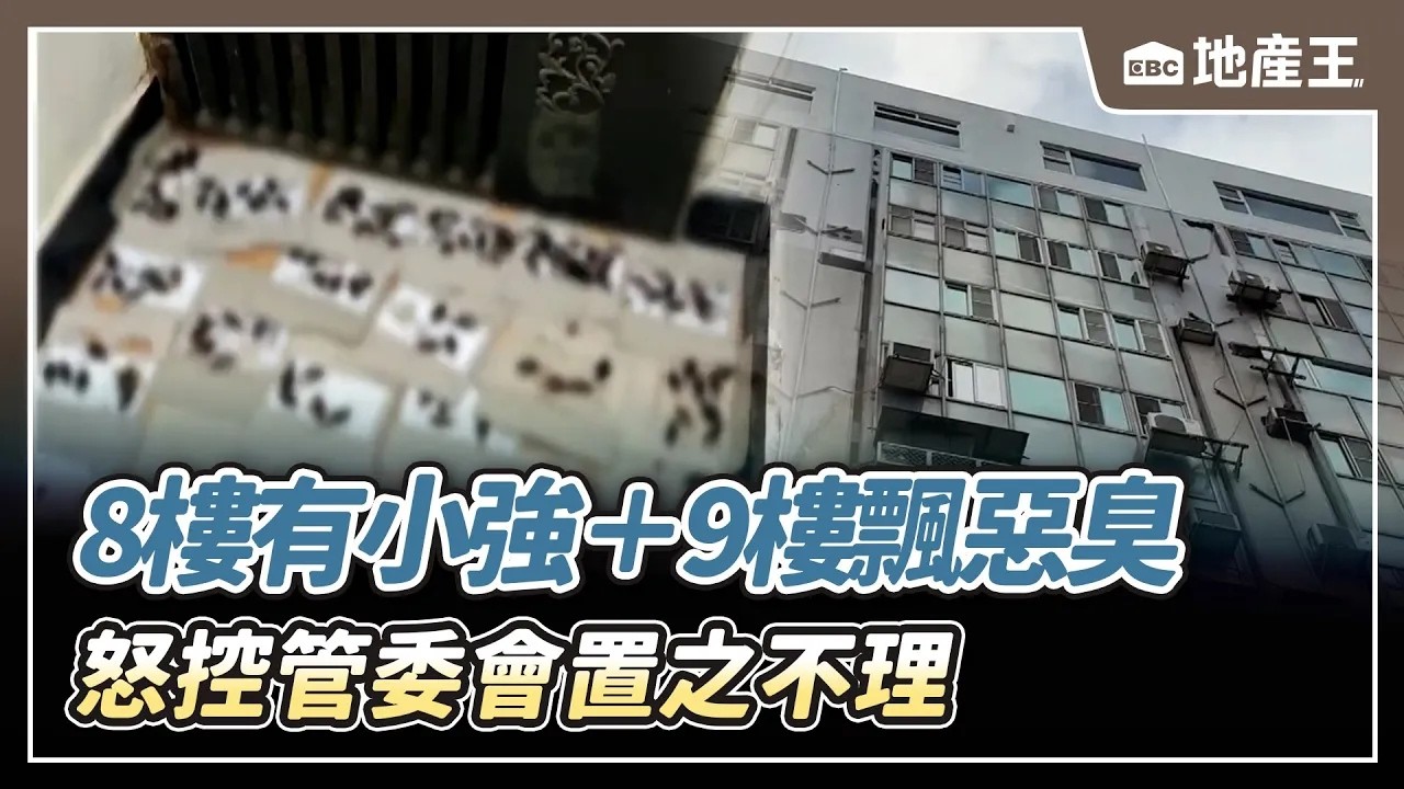 【地產王日報】鄰居崩潰「8樓有小強＋9樓飄惡臭」！怒控管委會「置之不理」害慘整棟樓【EBC地產王】@ebcrealestate