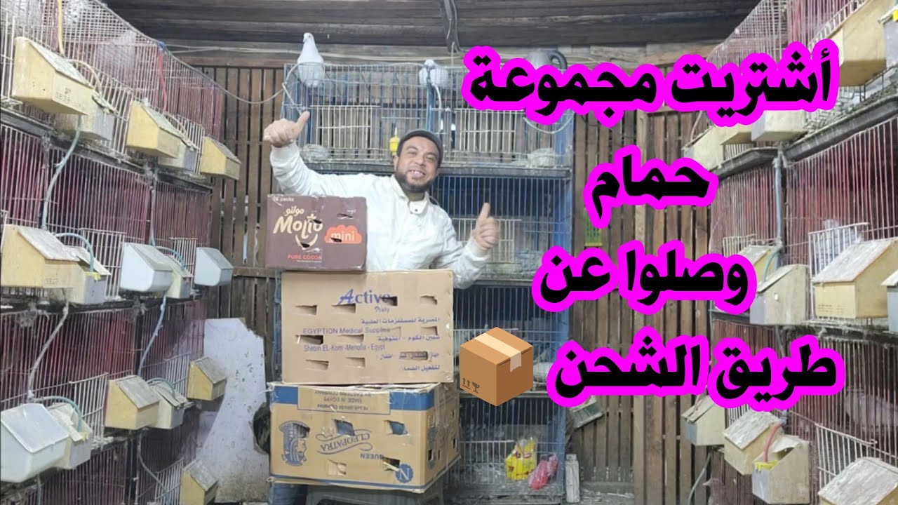 أشتريت مجموعة حمام جديد وصل عن طريق الشحن فتح كراتين حمام 🕊  متع عيونك معانا يا غاوي 🥰🥰