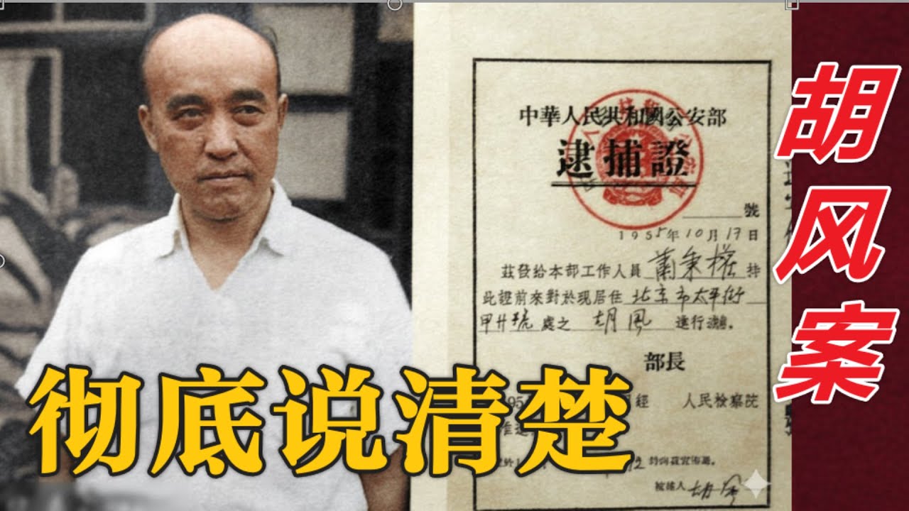 彻底讲清楚 最大的 胡风集团案  (中文字幕)