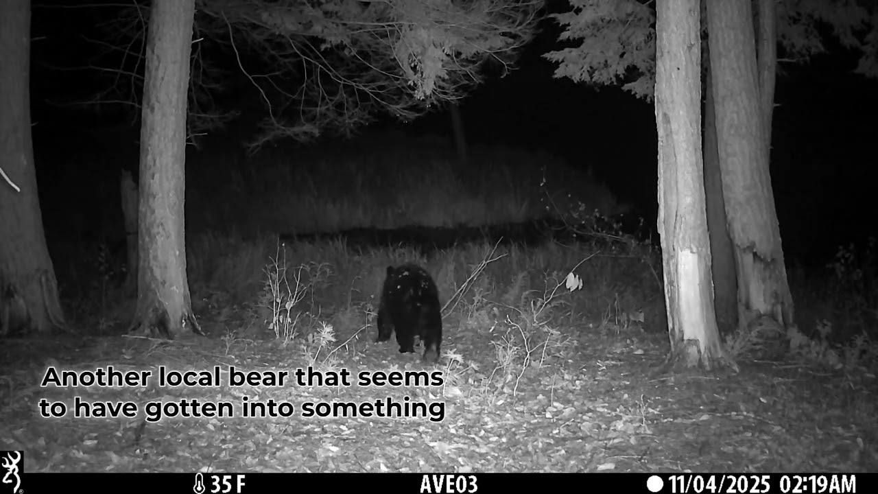 Field Notes Friday: UVLT Wildlife camera updates, November & December 2025
