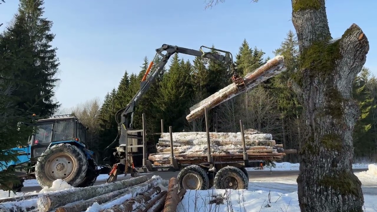 ПОЛУПРИЦЕП ТИГЕР - 800 2WD 🪵