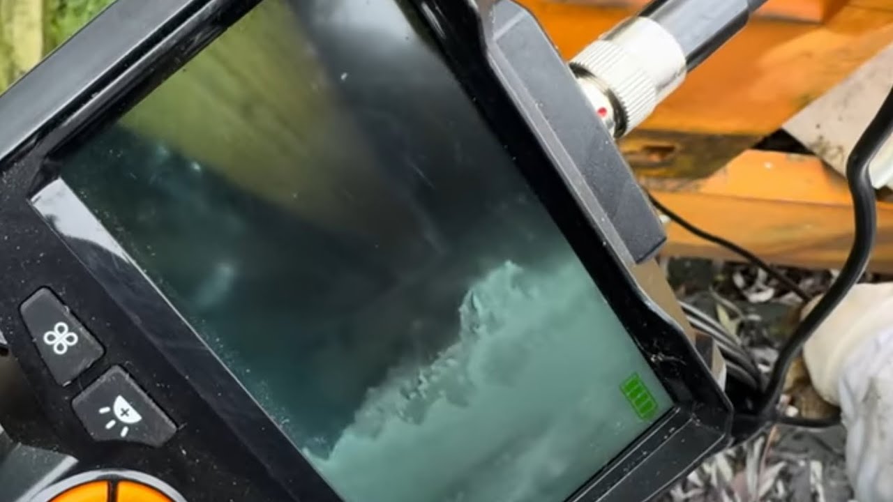 HDR 5-1. Wirus pustych uli - weryfikacja