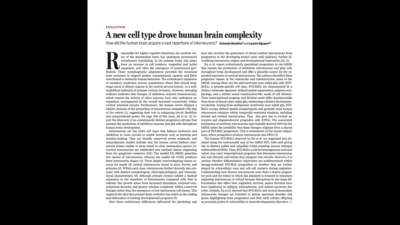 511-Evolutionary Origins of Human Brain Complexity