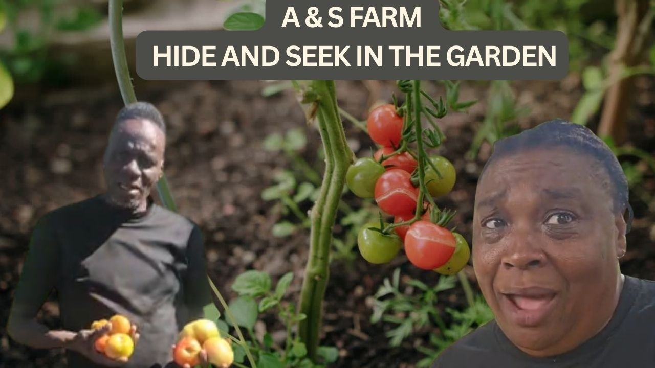 Aunty Claudette vs Farmer Courtney 😂 Hide & Seek at A&S Farm! Only the Cabbage Knows!