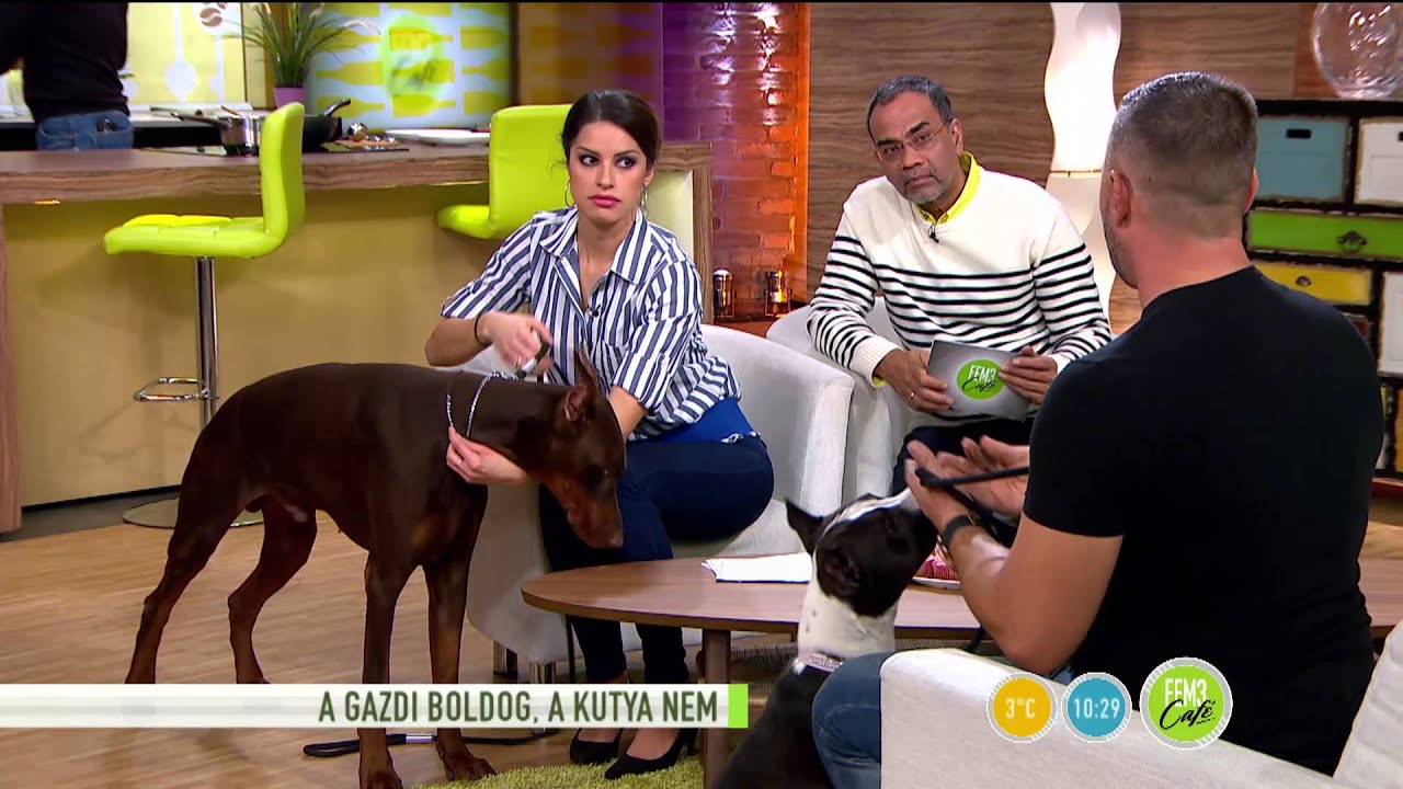 Nem minden kutya szereti, ha ölelgetik?-2016.02.08.-tv2.hu/fem3cafe