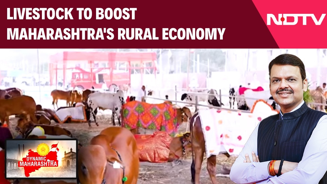 Maharashtra News | Modern Technology To Transform Livestock And Boost Maharashtra’s Rural Economy
