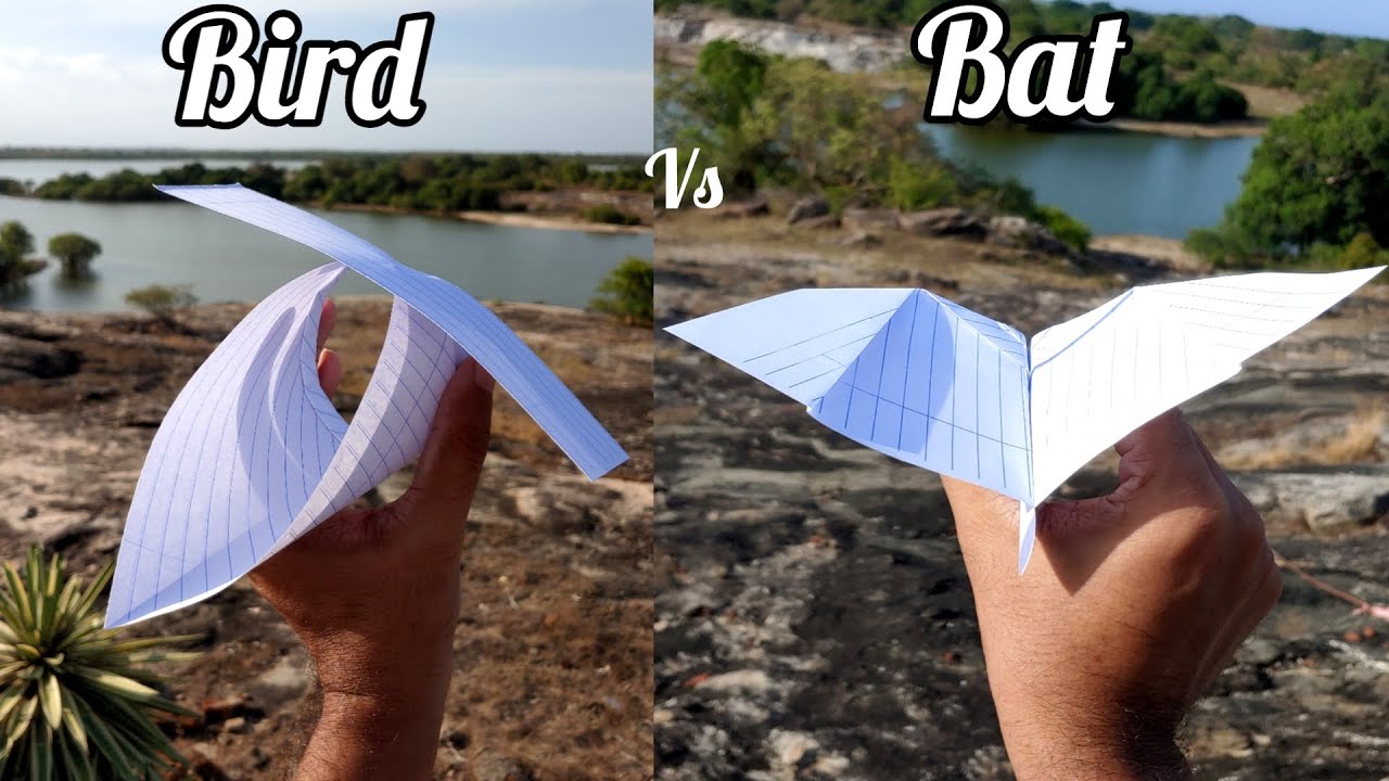 Bird Vs Bat Notebook Paper Planes Flying Comparison and Making