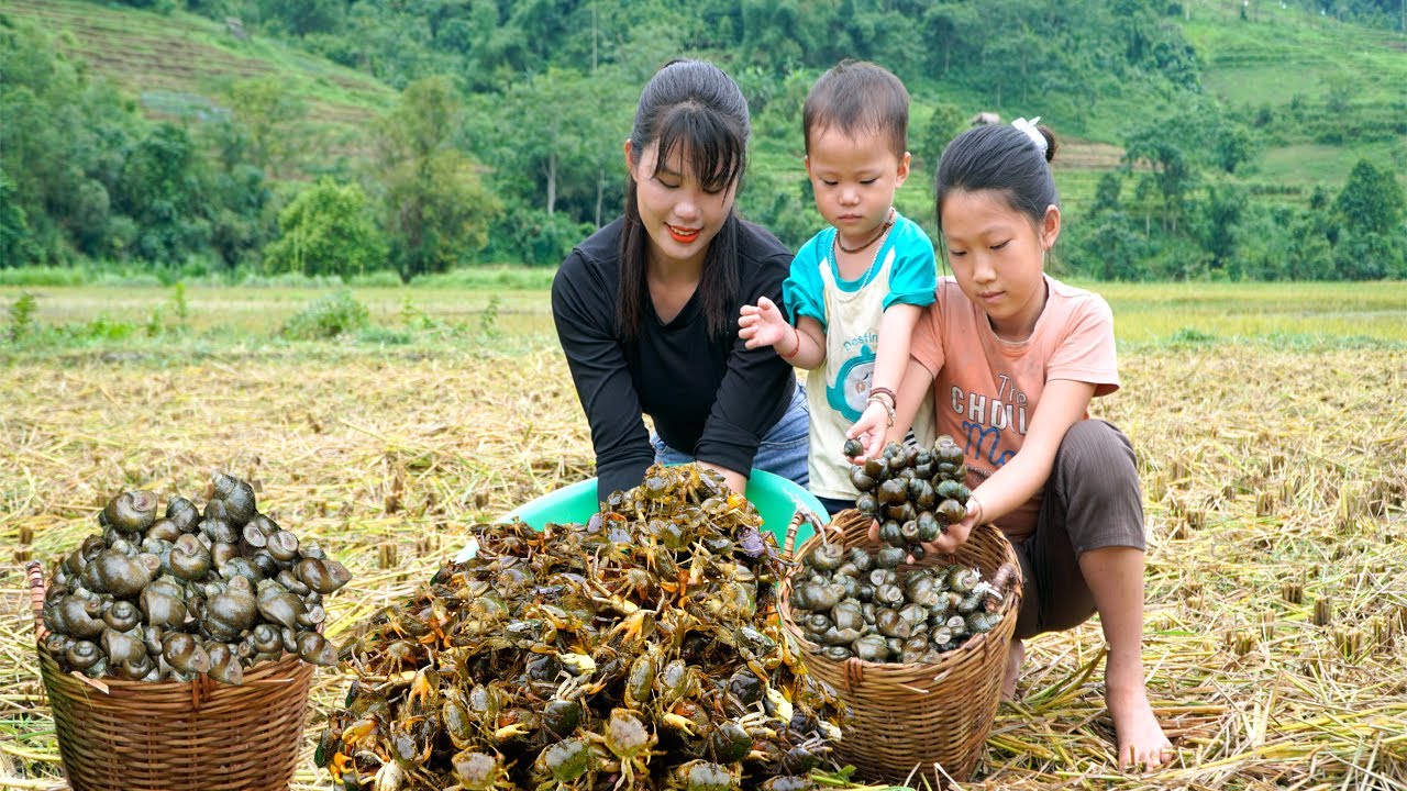 Single girl with two orphans Harvesting field crabs and snails - Going to the commune center to sell