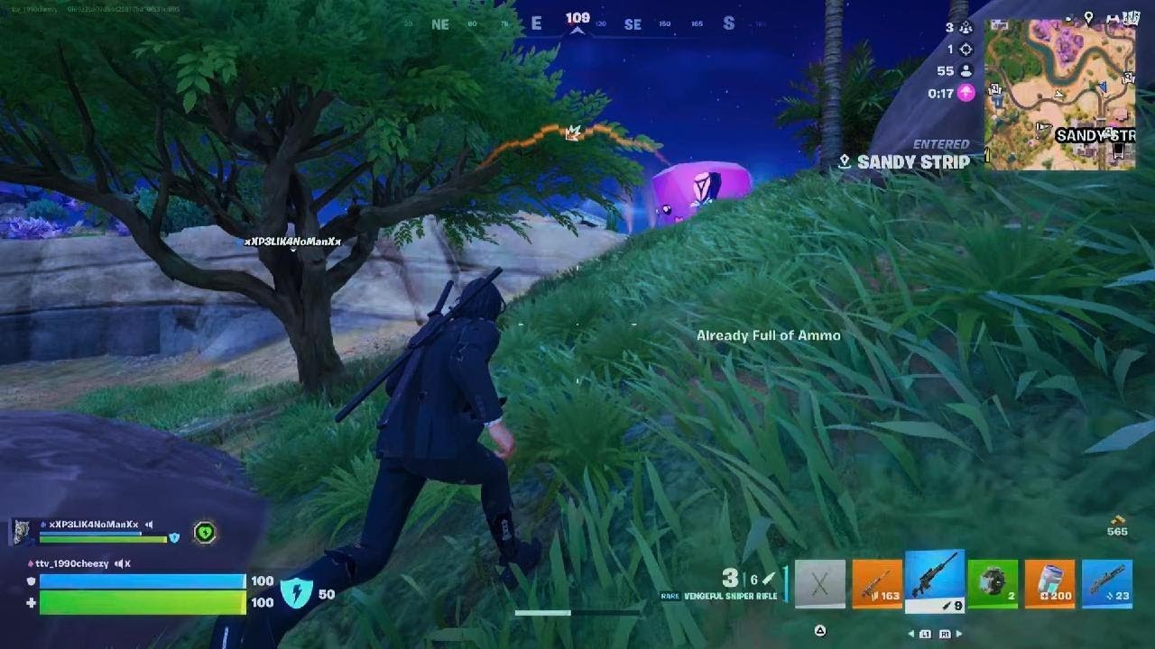 Fortnite_dou with el malo