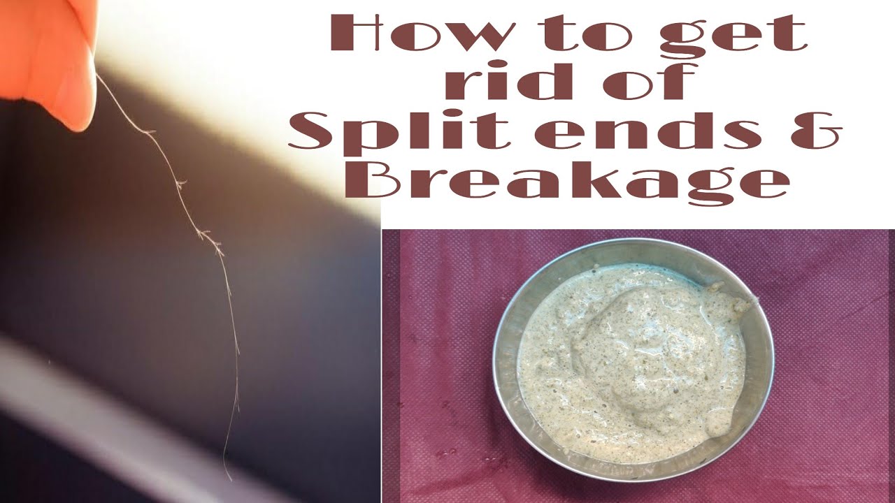 Hair test -To know what it needs?| DIY hair mask for split ends| How to prevent and maintain at home